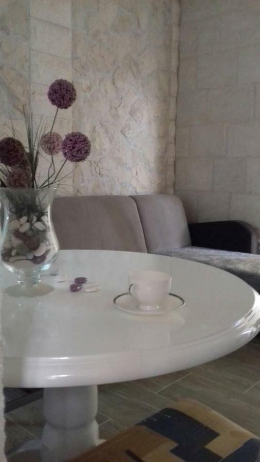 Apartment Nada โรกอซนิซา ภายนอก รูปภาพ